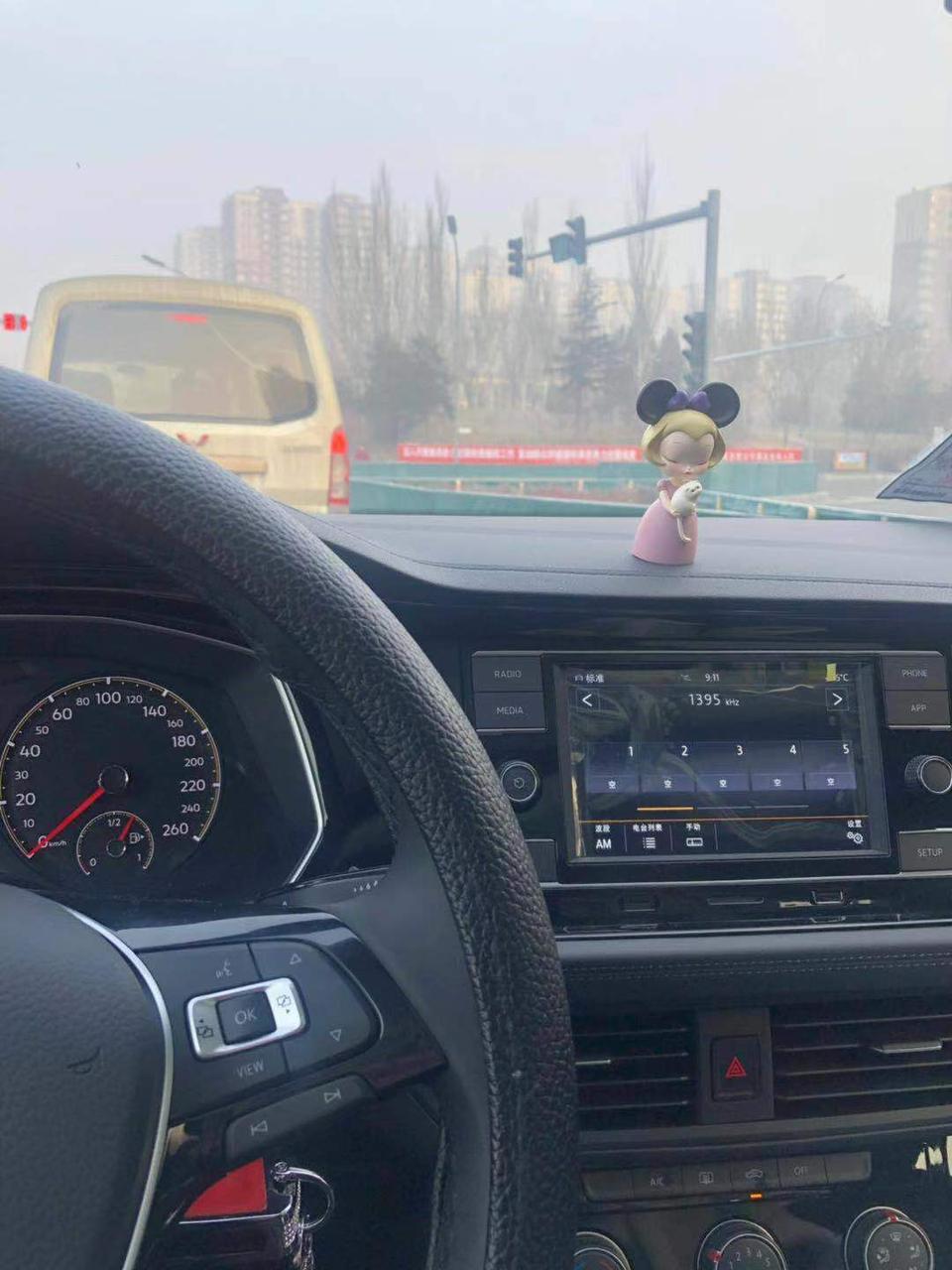 朗逸-我想知道这是什么车