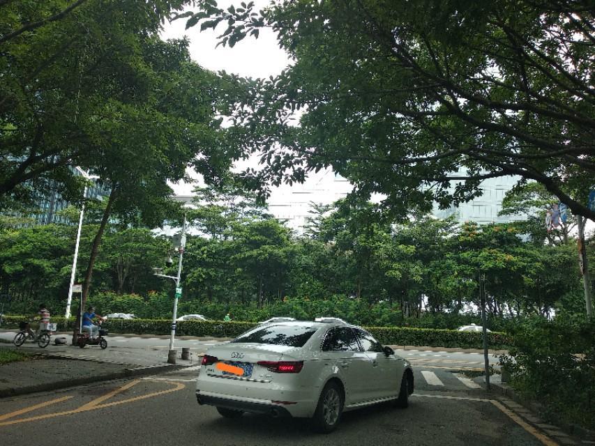 奥迪a4l-#路遇违章#双闪倒是开了，问题是你挡路了呀，让我们怎么过？