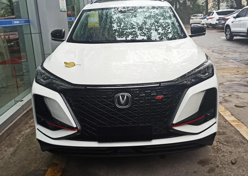 长安cs75 plus-明天提车，还再纠结颜色
安第斯灰，白色，我到底该选个啥????