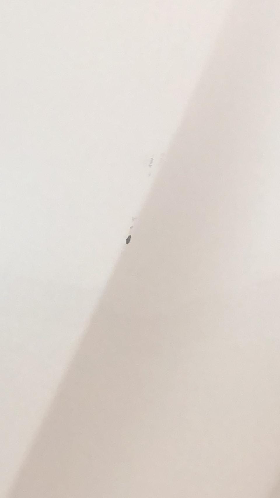 淘宝上轩逸珠光白有没有靠谱点的补漆笔的链接