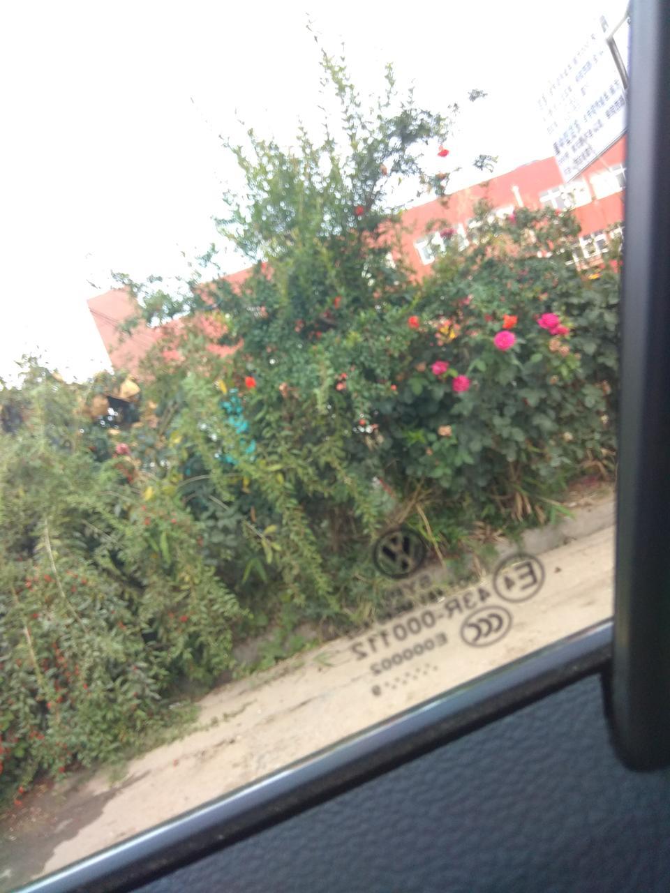 大家好，今天6月刚提的朗逸plus车，车上铭牌是2月份的，但是车玻璃日期9前面有的9个点，有的十个点，哪位大神知道这个玻璃到底几月份的，我这个是假的朗逸吗？呜呜呜