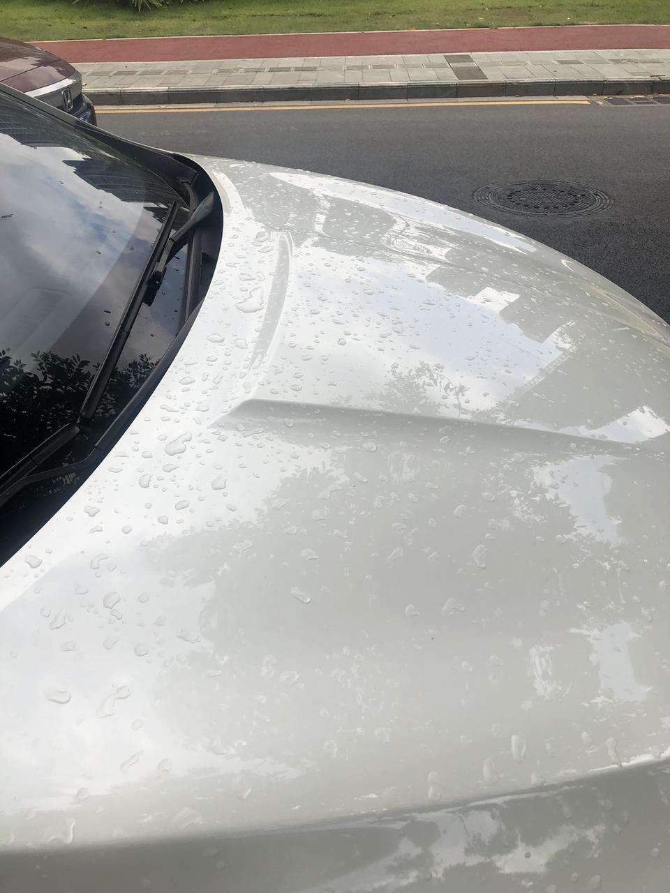 轩逸-同样淋雨了，同样晒了大半天，为什么别的车没有留水迹在车面上？