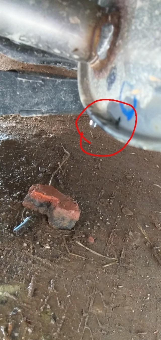 哈弗h6-全新的哈佛h6。这里滴水是不是正常？请教一下大老们，给个提建议。????
