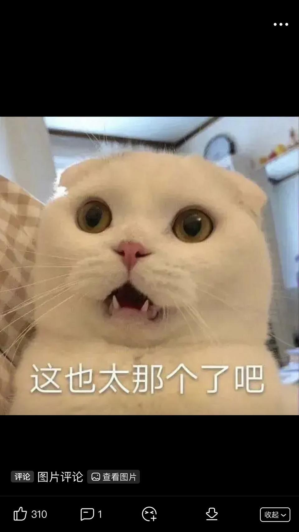 宝马3系-请问现在入手一台二手3系20个左右能收到啥样的