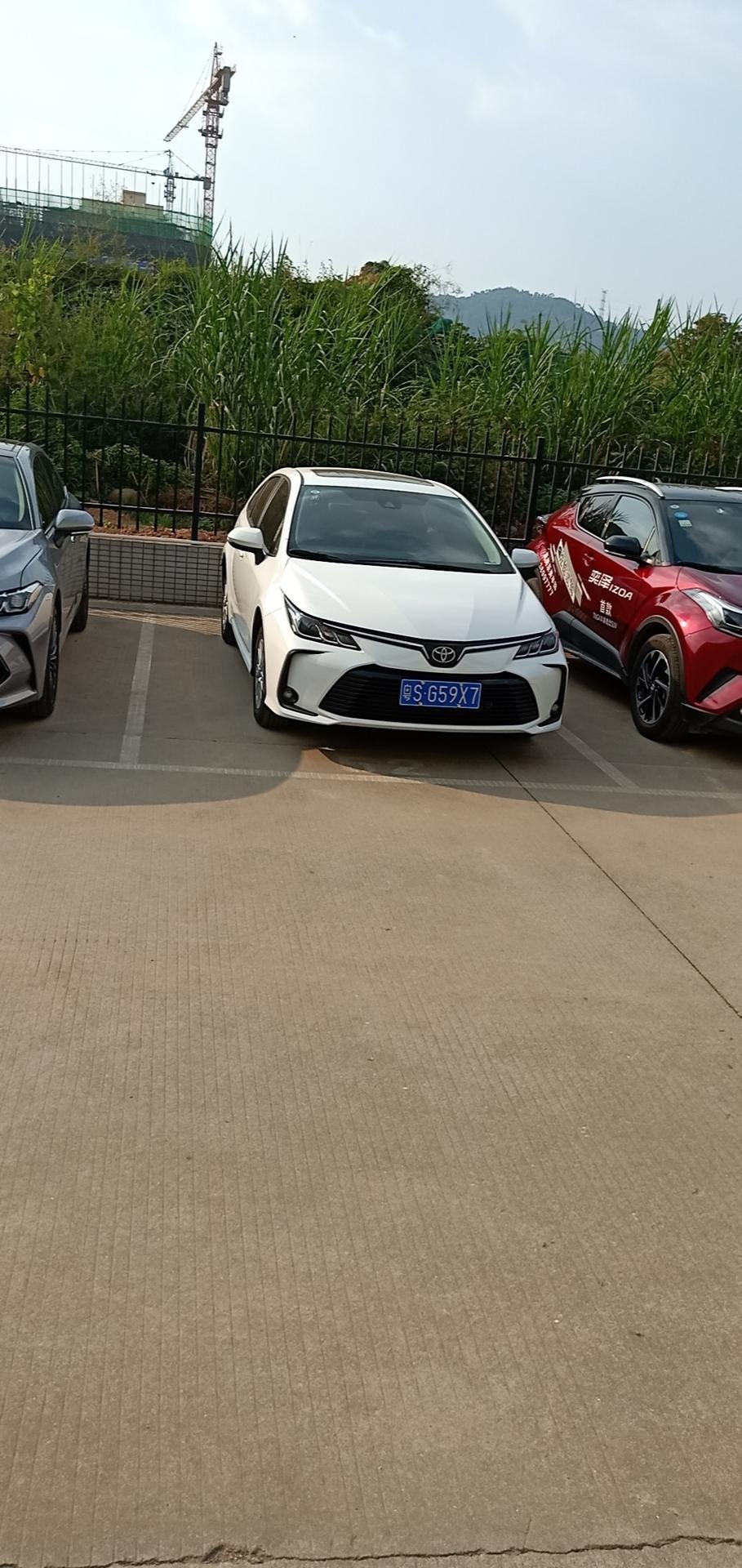 东莞卡罗拉精英版落地价多少钱？