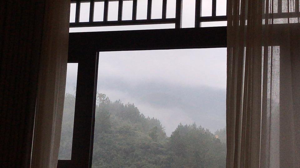 日产轩逸
油耗越来越低了