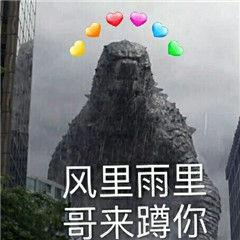 今年年底科沃兹2019款是不是就没有卖了