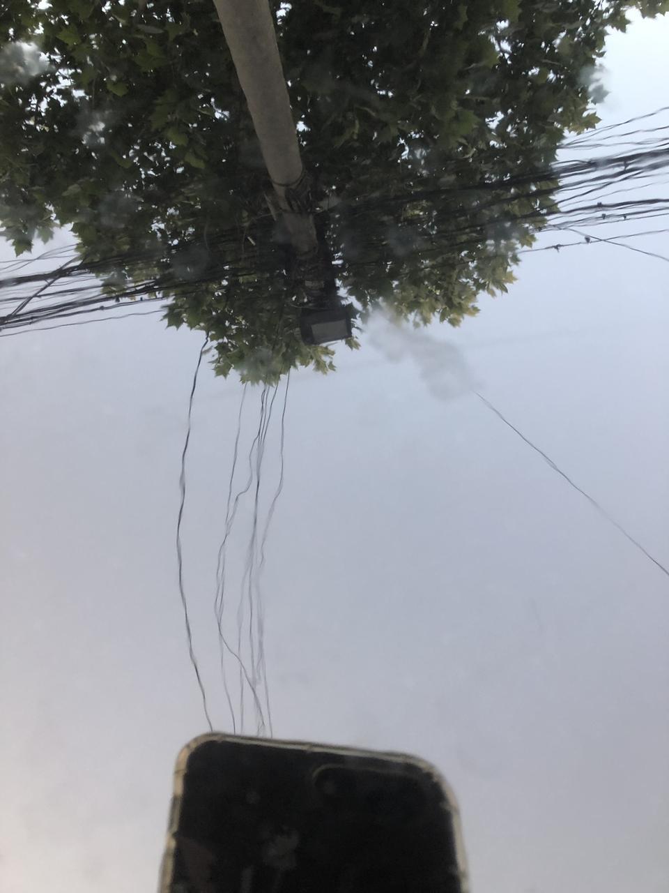 思域-谁知道这是些啥东西啊，车上满了，一块一块的，好久没洗车了，结果洗了以后发现这些印，怎么去除啊！！