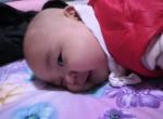 领克03-自动泊车从哪开啊   找半天找不到啊    愁人    偷个懒都不会啊   附上我们家小的靓照一张
