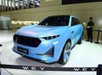 wey-x-什么时候上市价格多少？