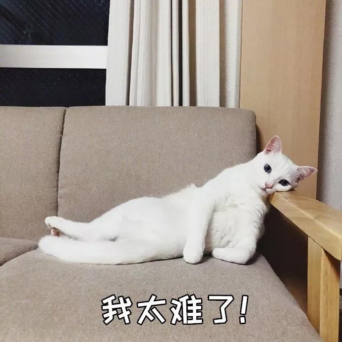 马自达3 昂克赛拉-2020款1.5L质型，想加个尾翼和前铲，日行灯，会不会被别人笑话说我装b啊??? 预算不足才买的1.5L