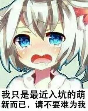 思域国六上市 会加价吗？
