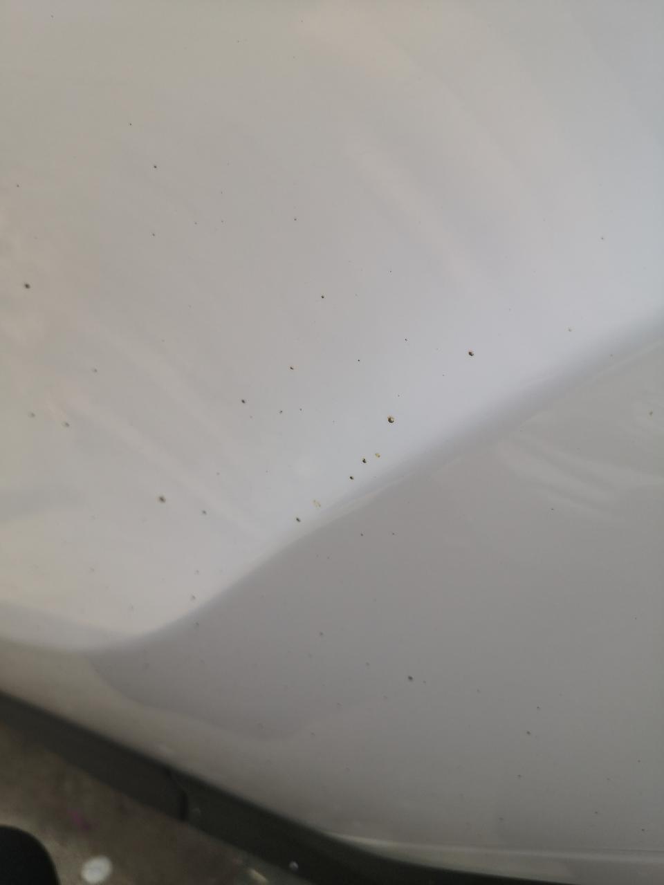 迈腾-车上的小黑点是什么啊，手指扣特难抠，买的柏油清洁剂喷了也没反应啊，在洗车店说是要砂纸打磨之后要抛光。也太麻烦了吧，以后开车都不敢开了。刚得到车的小白求教大神
