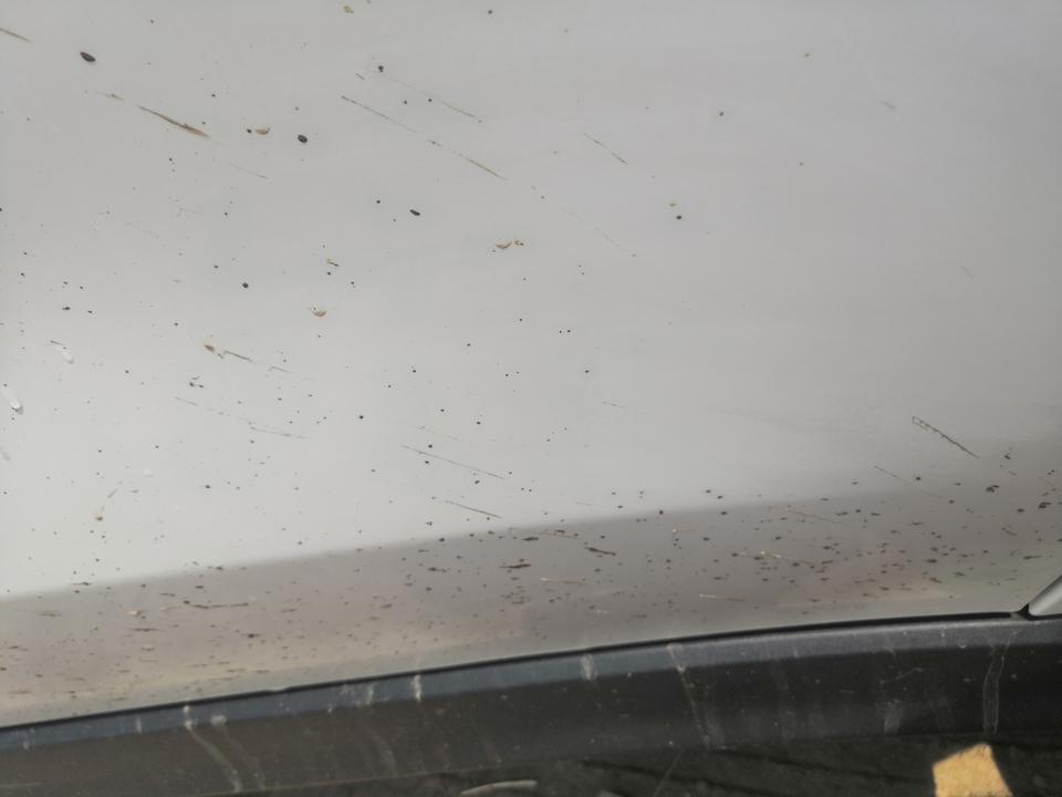 迈腾-车上的小黑点是什么啊，手指扣特难抠，买的柏油清洁剂喷了也没反应啊，在洗车店说是要砂纸打磨之后要抛光。也太麻烦了吧，以后开车都不敢开了。刚得到车的小白求教大神