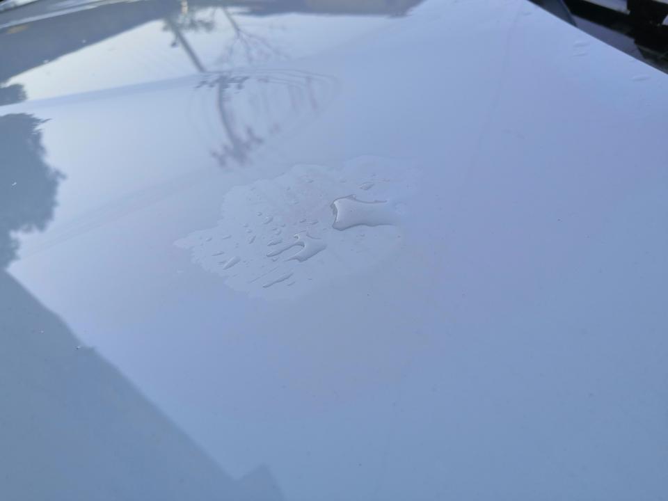 速腾-你好，车子停在树下一个礼拜，今天去开上面好多鸟屎和一些树上的脏东西。洗车的时候洗不干净，局部有一块一块的黑色带油性的小块。请问这个可以用什么洗干净啊