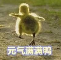 速腾-这两个月想提1.4的版本不知道重庆能给出多少的优惠（ '▿ ' ）重庆的大佬给个大概方案呗