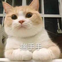 想问一下，新福克斯的智能选装包可以后期再加装么？这是软件上的还是硬件上的啊