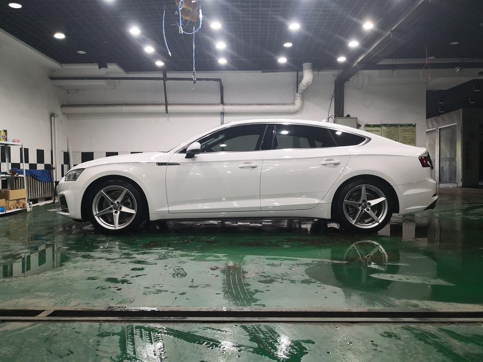 奥迪a5-我的A5早上挂不进档，早上零下十度左右 ，重启以后挂进去了，也没有任何故障指示灯，各位有这种情况吗？
