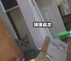 缤越有没有APP远程启动，有的话是那款车有