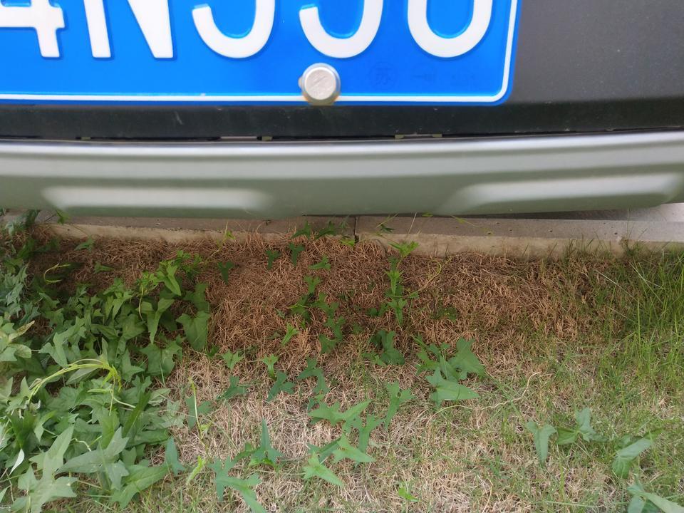 传祺gs4-车辆发生小刮蹭是走保险维修好一点还是自己花钱修好一点