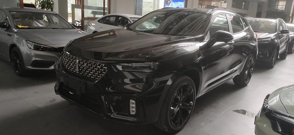 wey vv7-贷款入坑2020的vv7 旗舰版21万多