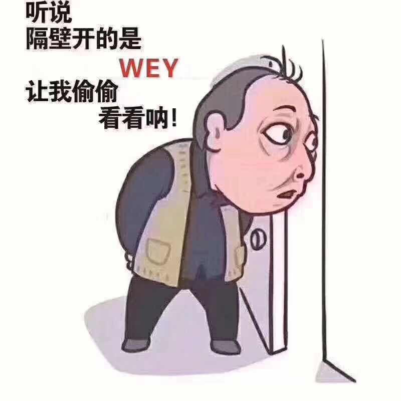 wey vv7-刚定了一台19款升级版旗舰型vv7 车价:179800，办理按揭贷款车价首付:53900  购置税＋上牌＋保险＋GPS＋手续费等=按揭首付83000  走的厂家金融利息多付15000左右政策优惠9000元，不知道有没有买贵！很多朋友都说这车是油老虎  吃油的大家伙！对于个人而言千金难买我喜欢，相比同等价位、同等车重、同样的排量的车子我觉得它的油耗是可以接受的，很多朋友心里会想那同等配置呢？  我的回答是有和它同配置而且同价位的吗？  好像没有吧！无论内饰 空间我看了很多车型都没有vv7高，