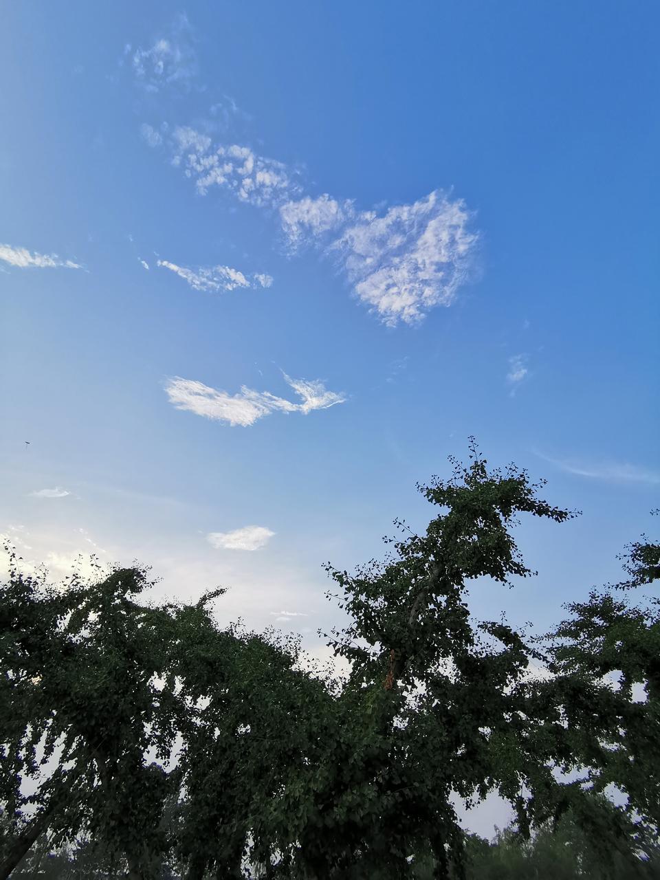 凌派-主驾驶位的一键升降，上升就自动下降，往上拉就自动下降，请问各位大神是为什么