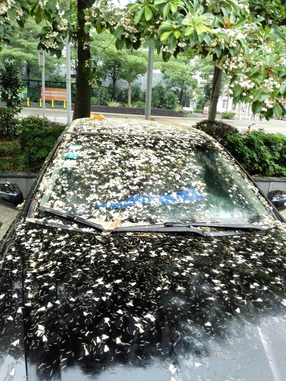 凌派-一年跑不到5000公里的车，保养加什么机油好点？最经济实惠的，不能浪费