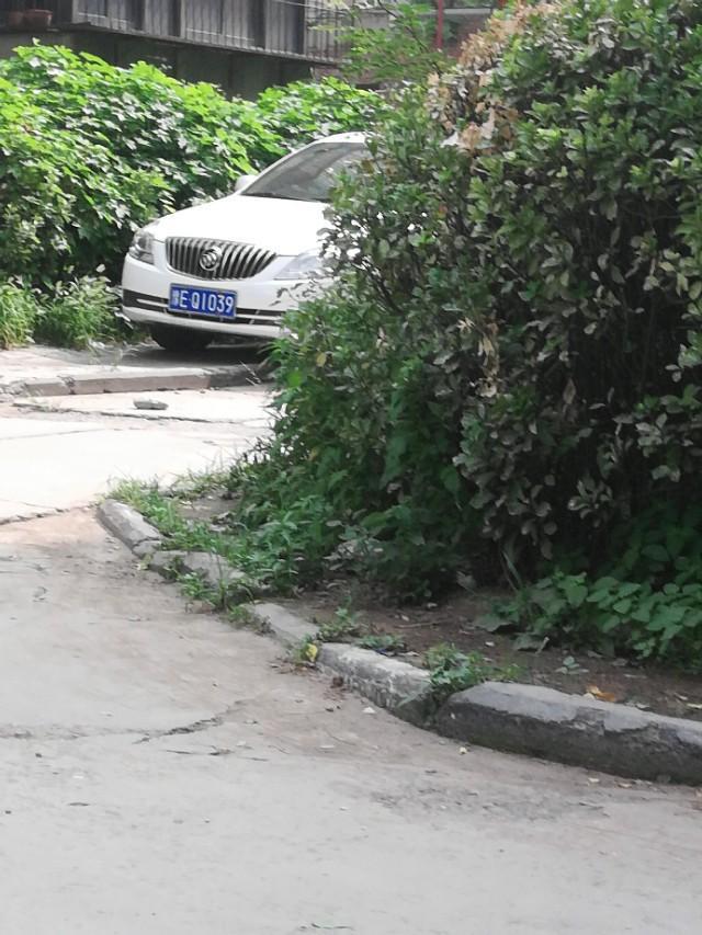 桑塔纳-大家看看这是什么车?