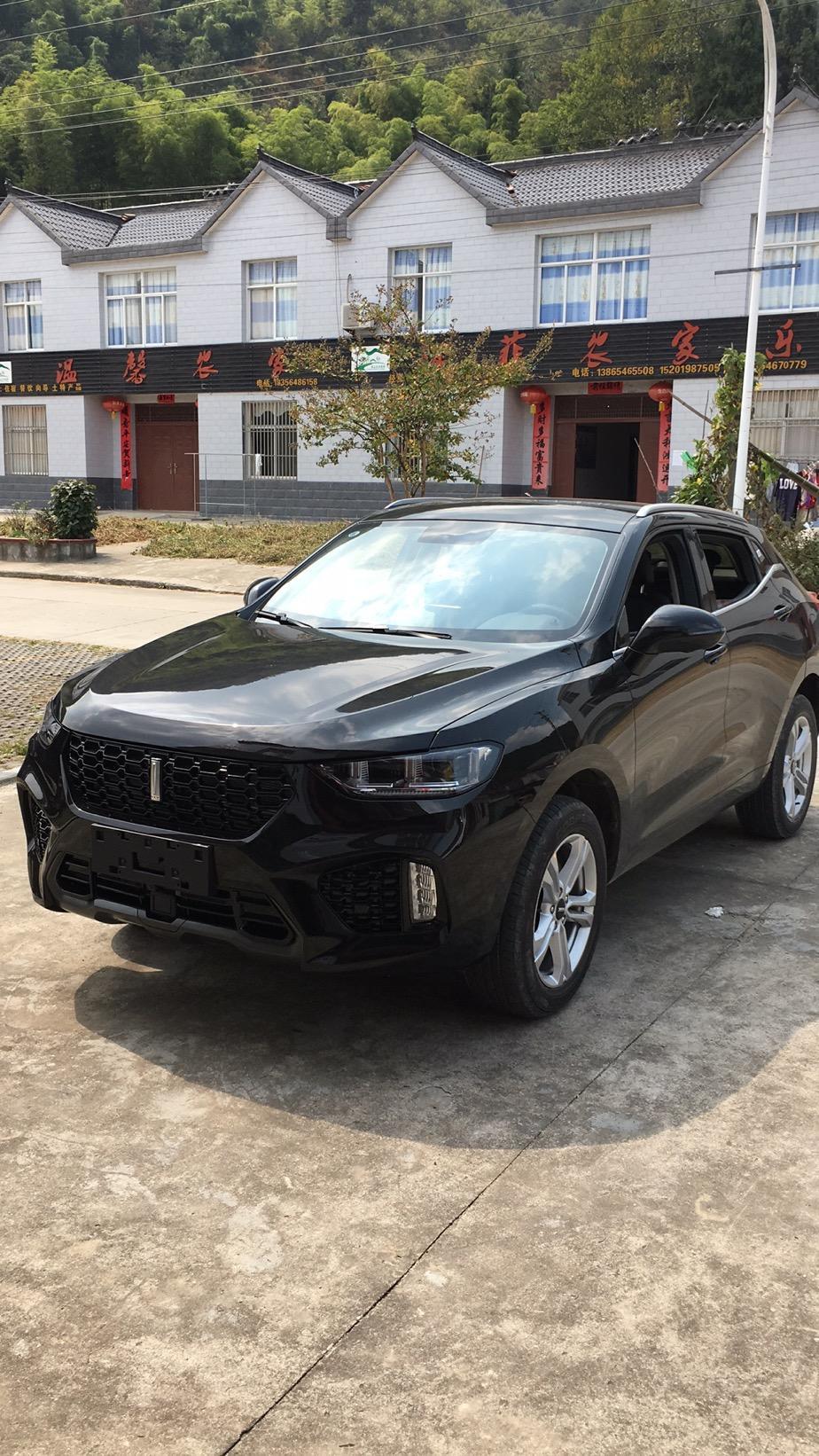 wey vv5-1.5T VV5智先锋 全景影像前后模糊，你们是不是也是这样