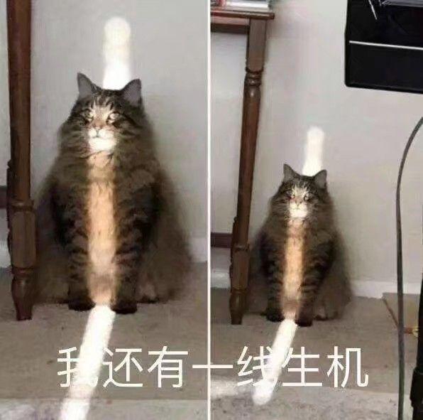 18款二代逸动，半离合起步的时候有呜呜呜的响声，声音还不小，求大神解答一下，给个方向也行，严不严重