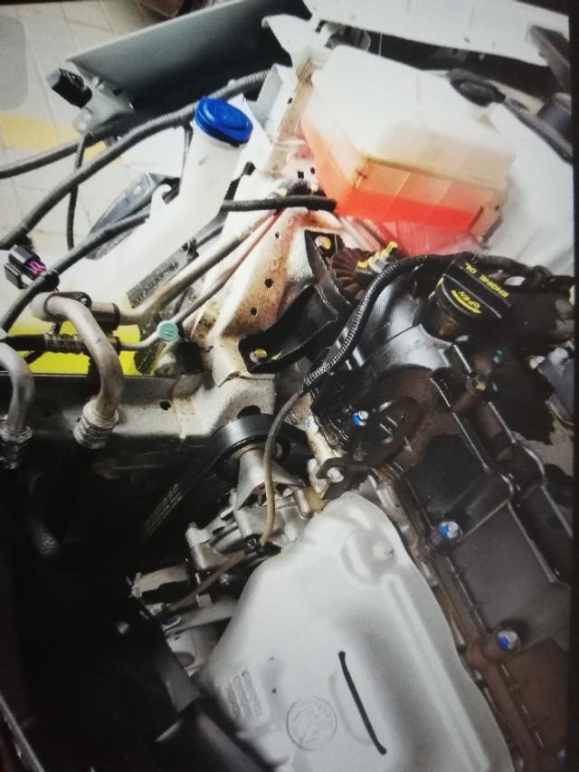 各位新逸动的伙伴们 我是小白 新手第一辆。18款自动款有这种碰到过这种情况的吗？ 新车2个月不到 6多公里  发动机渗油 大家给给意见  自己完全不知道怎么办????