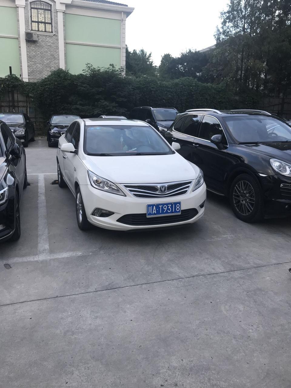 咖啡金和白色逸动到底哪个更加好看？