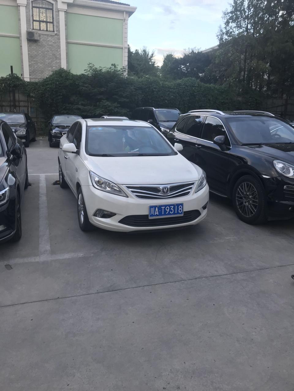 咖啡金和白色逸动到底哪个更加好看？