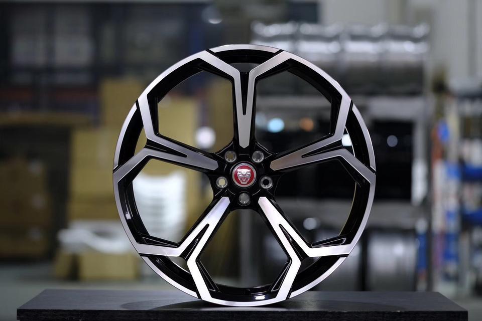 捷豹xel-这个车怎么放usb视频，弄个u盘，里面的音乐能播放，视频avi格式全读不出，这个车能放视频吗