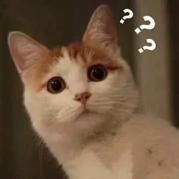 欧蓝德-现在19年的 2.4智享版 为什么没有那些好配置像acc啊乱七八糟的 主动刹车的 为什么18年的有我感觉我被骗了19年的顶配竟然没有这些配置