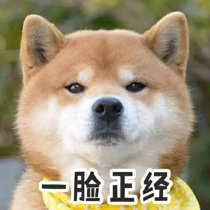 新蒙迪欧的音响效果怎样调节才能达到最佳水平？