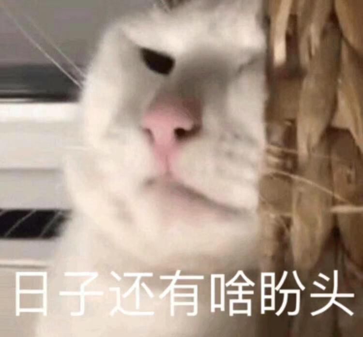 起亚k5-16年k5 高配的什么价格入手合适