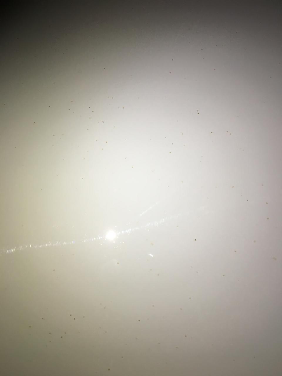 帝豪gs-这样的怎样才能洗干净啊？，各位车友