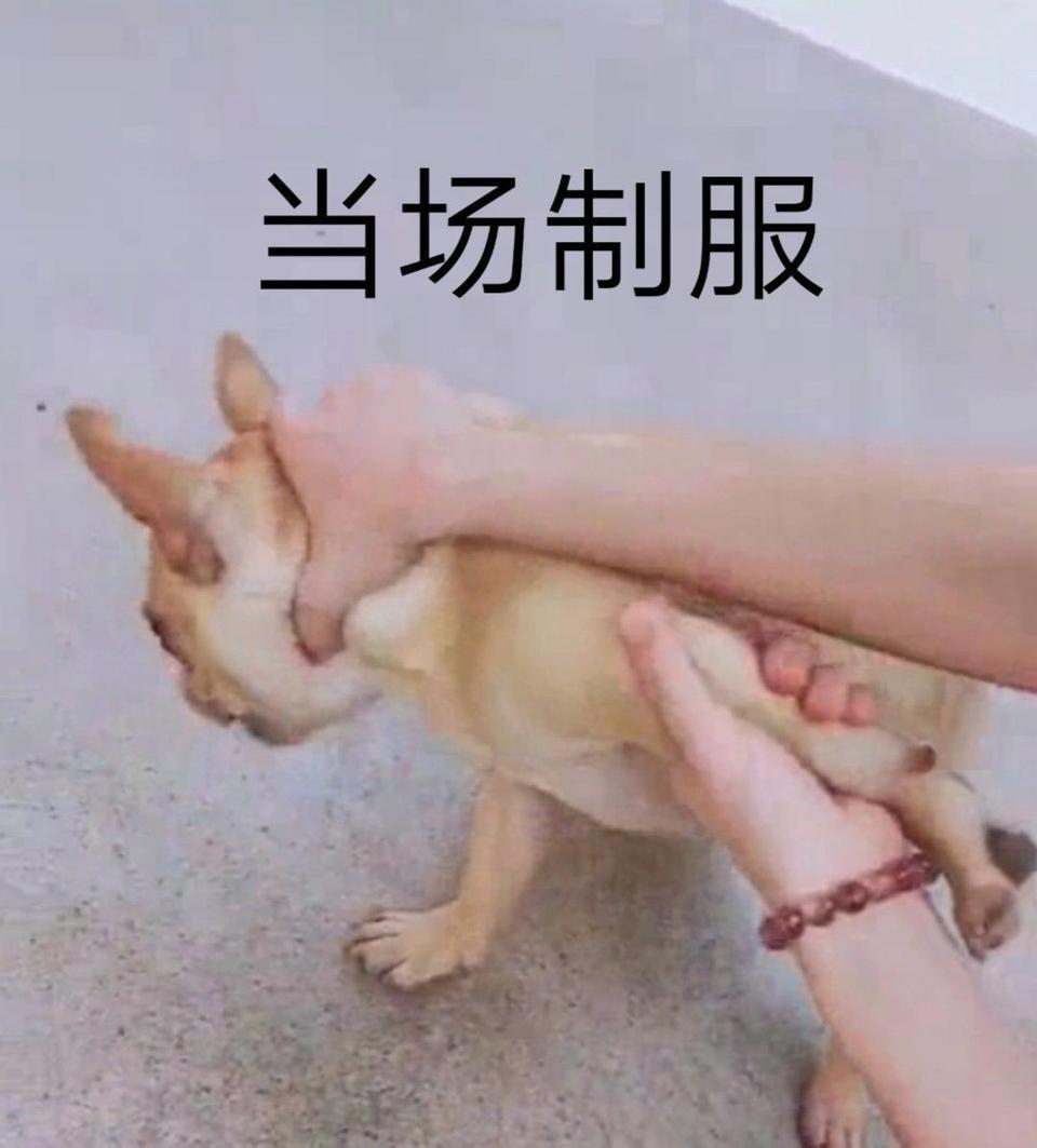 帝豪gs-16优雅，1.3，自动。倒车时有咔咔咔的响声，1挡换二挡的时候也响，速度上来之后就正常，就是倒车响的比较严重。