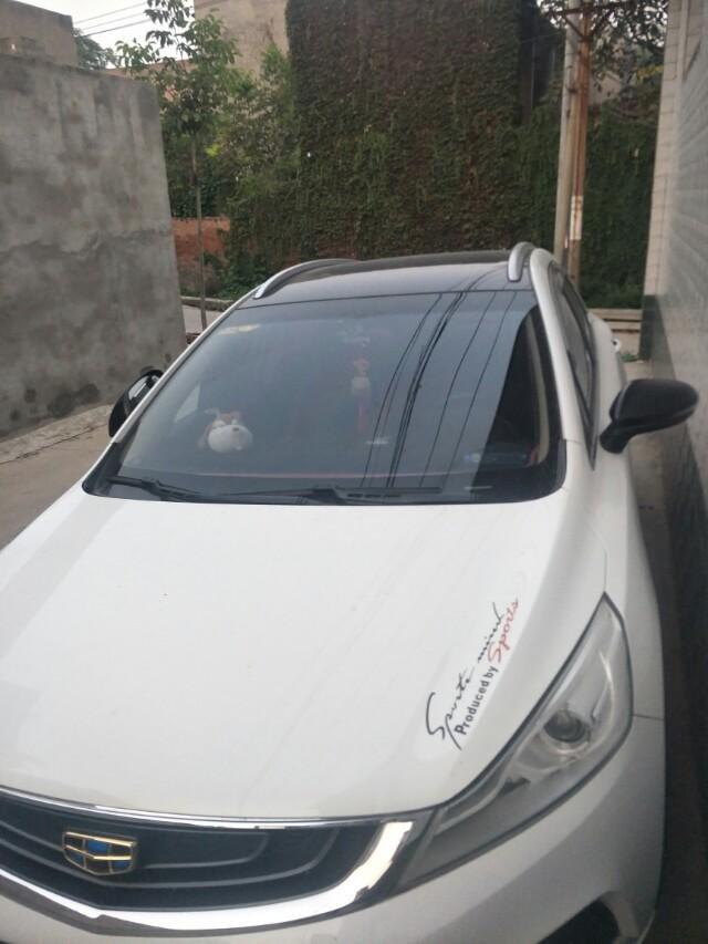 帝豪gs-汽车的电瓶一旦亏电，打不着车，再次用对电瓶有没有什么影响