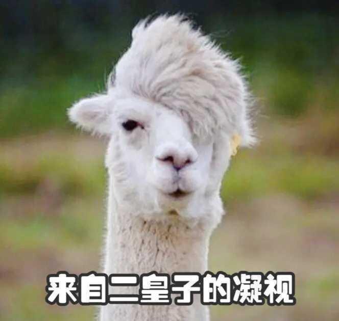 13年北京现代ix35，冷车启动抖动熄火，热车之后正常行驶和加油门时有很明显的严重前后顿挫感，感觉就是像别人踩了你一下刹车又放了，反反复复好一会，一直这样子，到底是哪里出问题了，各位车友大大有没有知道的???