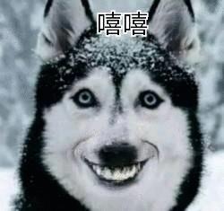 保时捷718-求告诉现在哪里有718T的现车718也可以