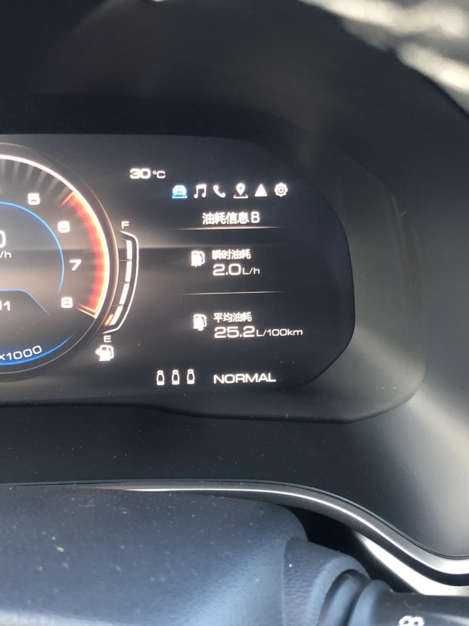 wey vv6-我就想问问你们那些7个油8个油的都怎么跑的，我停车怠速的时候还一个多油呢