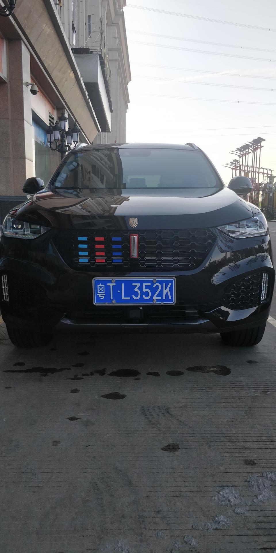 wey vv6-为什么这个VV6引擎盖上有个车标有的又没有