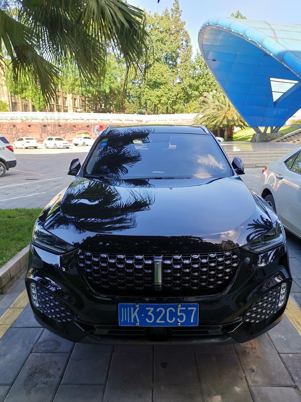 wey vv6-车载联网用不了，这个4G图标带个红叉是什么意思？客服喊我去4S店检测…………