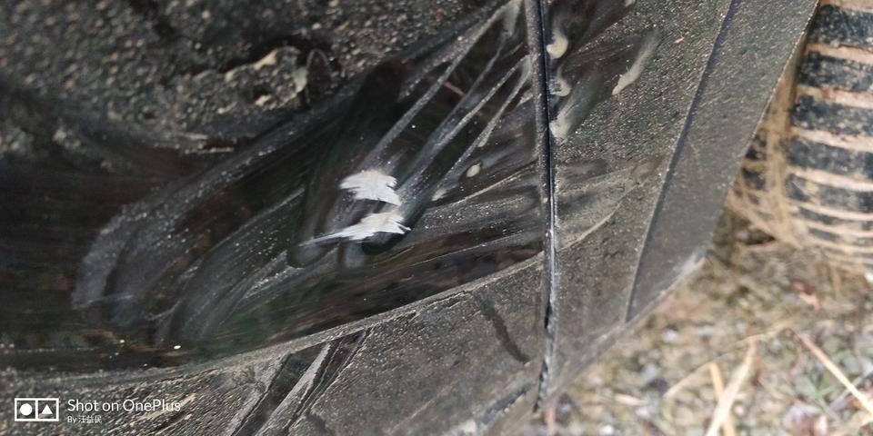 wey vv6-vv6  右车门  今天被石头碰了    都凹下去一点了像这种修要多少钱
维修是去4s店    还是修理厂