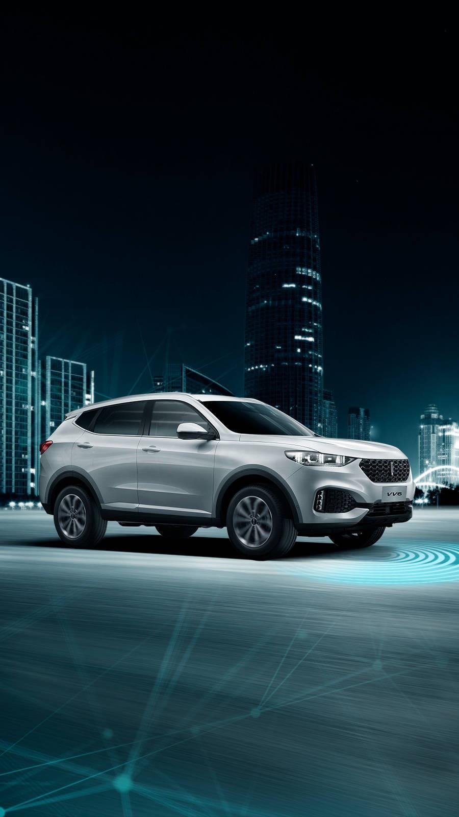 wey vv6-魏派vv6的车联网是4g吗？以后是否可以升级到5级网络？这个是终身免费还是每年都要续费？