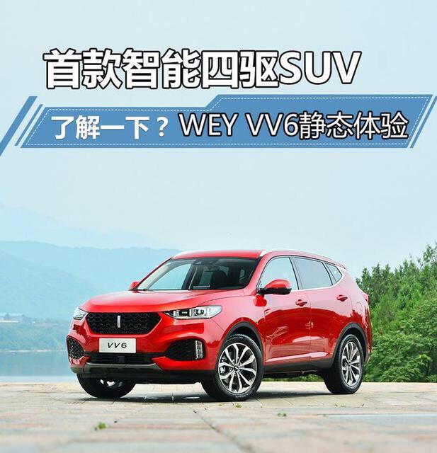 wey vv6-大家觉得流媒体后视镜有必要吗？