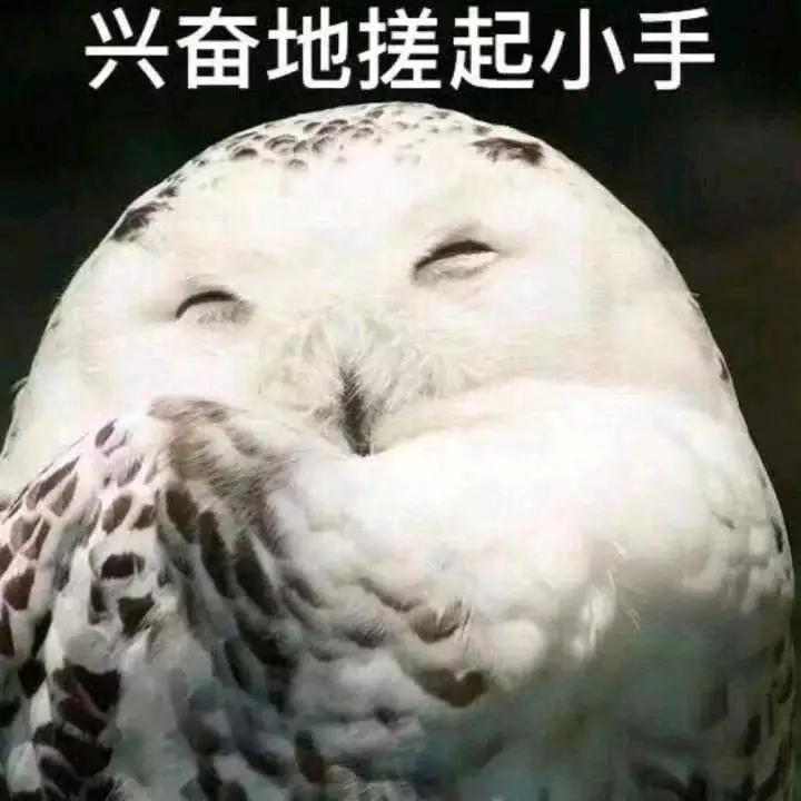迈巴赫s级为什么有的是奔驰车标，有的是迈巴赫车标？迈巴赫车标还需要选装吗？